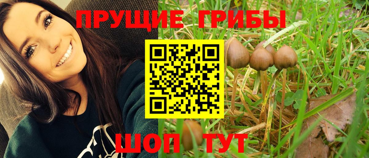 Галлюциногенные грибы мицелий  Вход с VPN  Галлюциногенные грибы ЛСД  Каменск-Уральский 