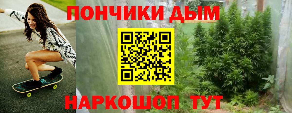 Марихуана сатива Каменск-Уральский